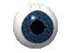 eye.gif