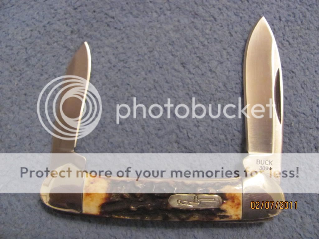 stag389andslippies013.jpg