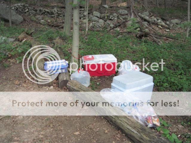 IMG_1771.jpg