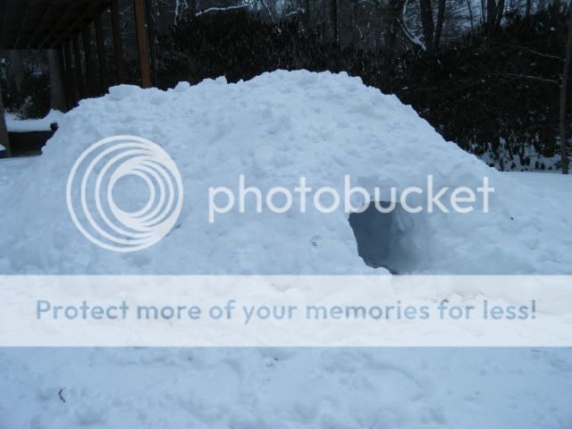 DSCF2580.jpg
