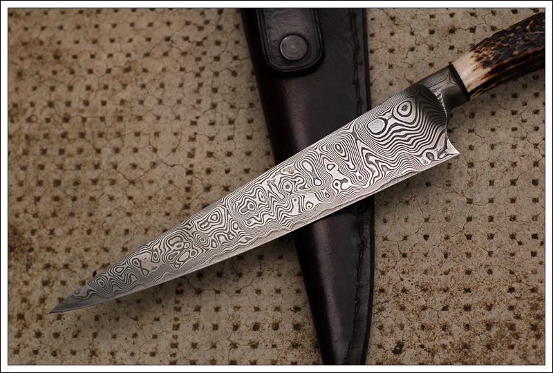 criollostagmokume4.jpg