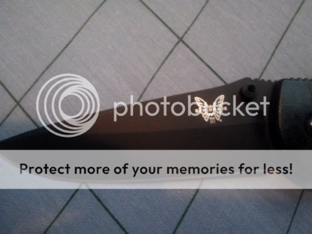 CAM00809_zps15cc389d.jpg