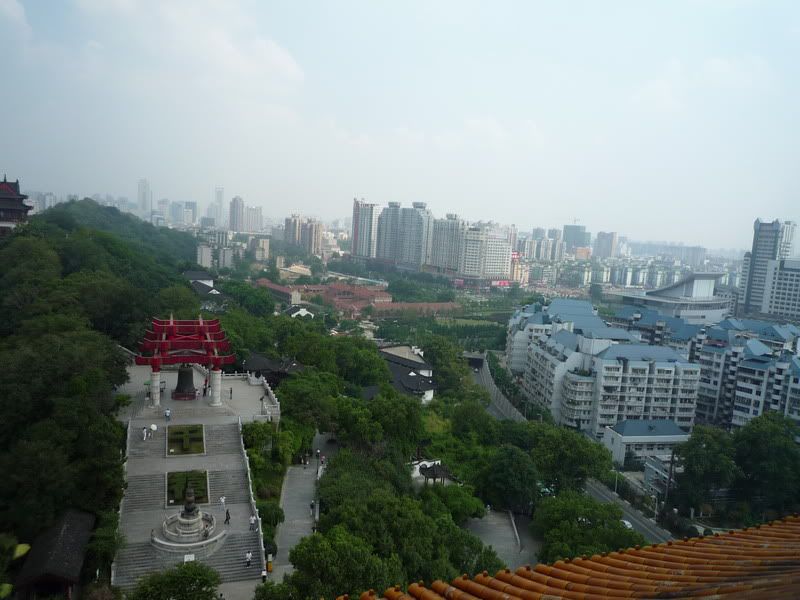 P1010480.jpg