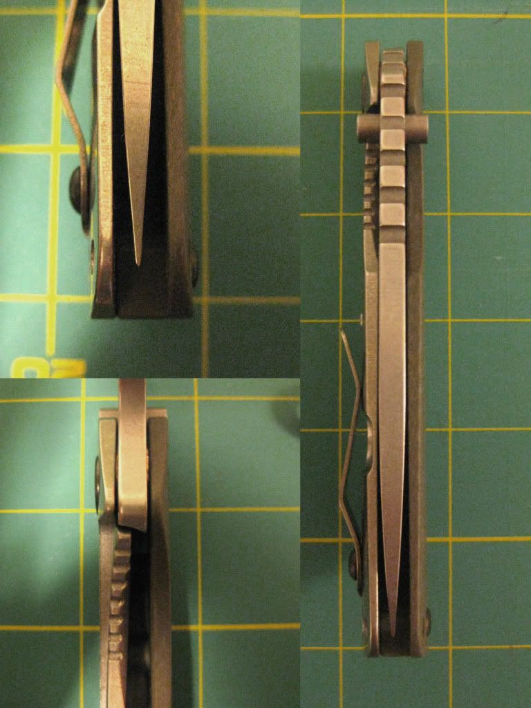StriderSMF-CCRG2.jpg