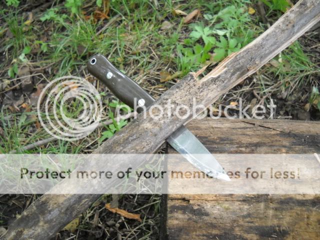 DSCN1124.jpg
