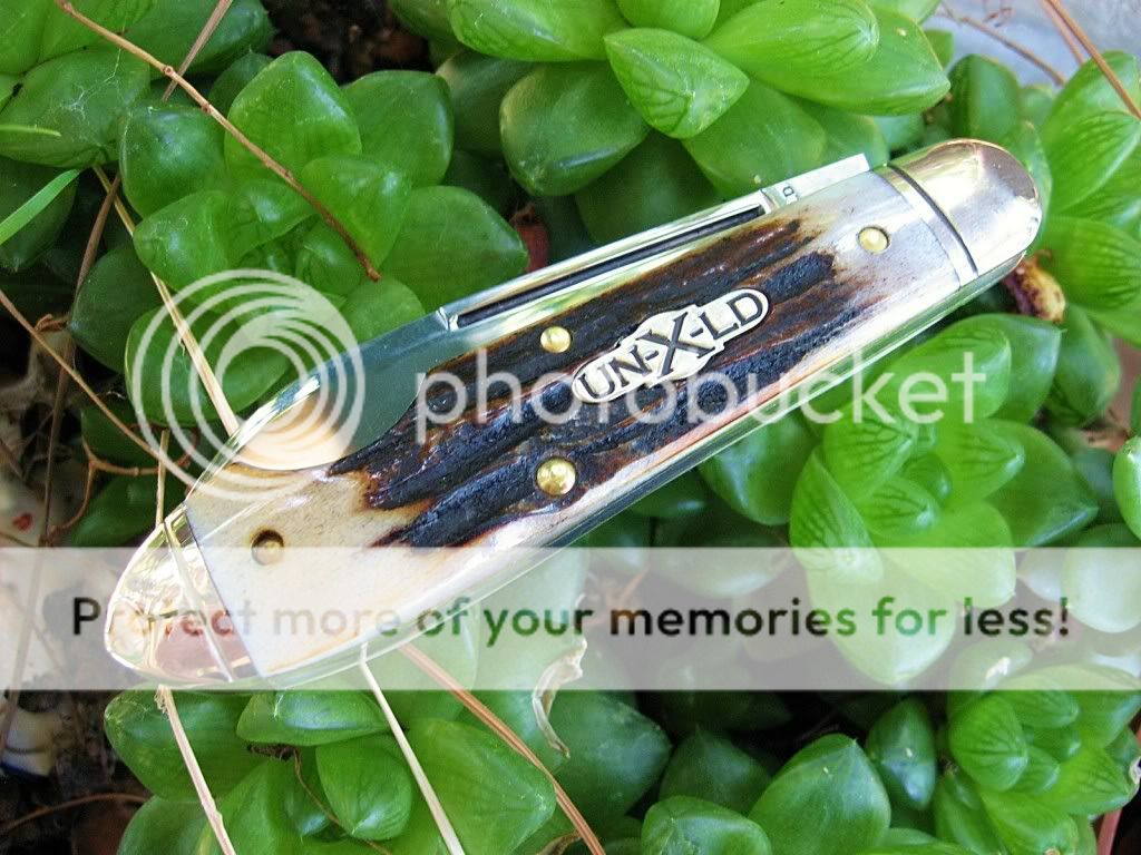 GEC85EOStag01.jpg