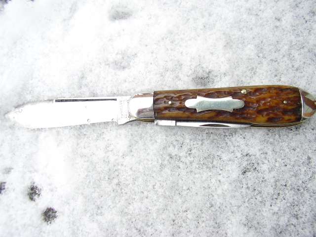 pb0101162.jpg