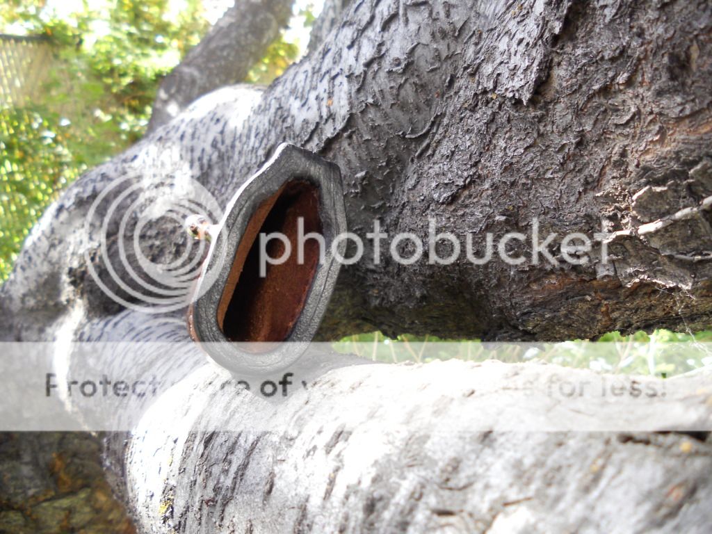 DSCN0633.jpg