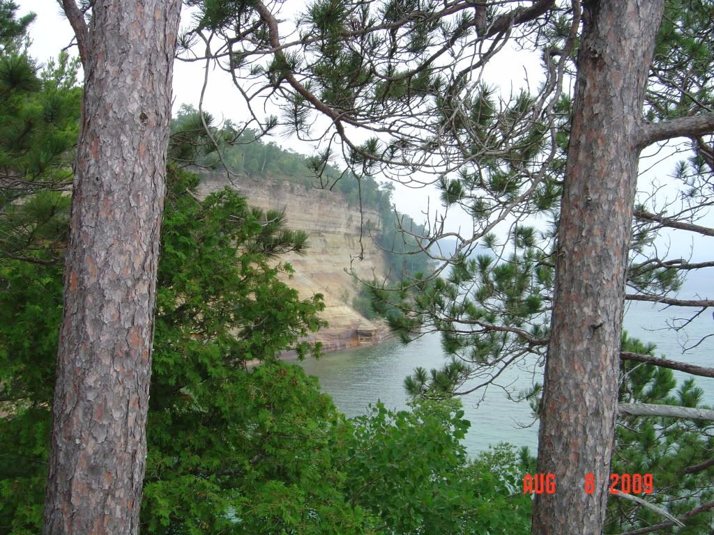 DSC01406.jpg