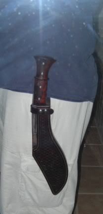 HIsheath011.jpg