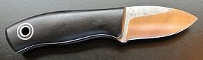 Blackwood%20Runt%20Small.jpg