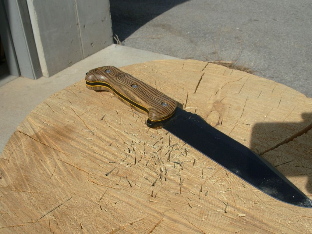 DSCN0237.jpg