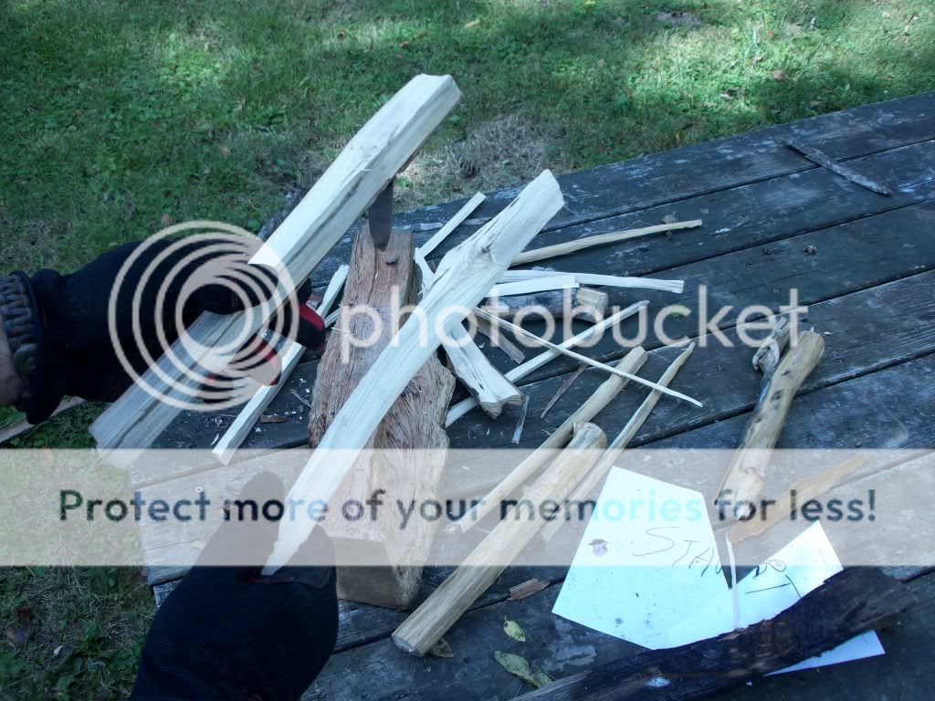 100_3229.jpg