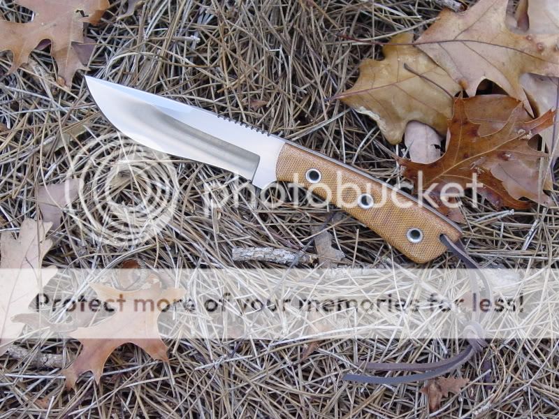 newhoundstoothandrecurve025.jpg