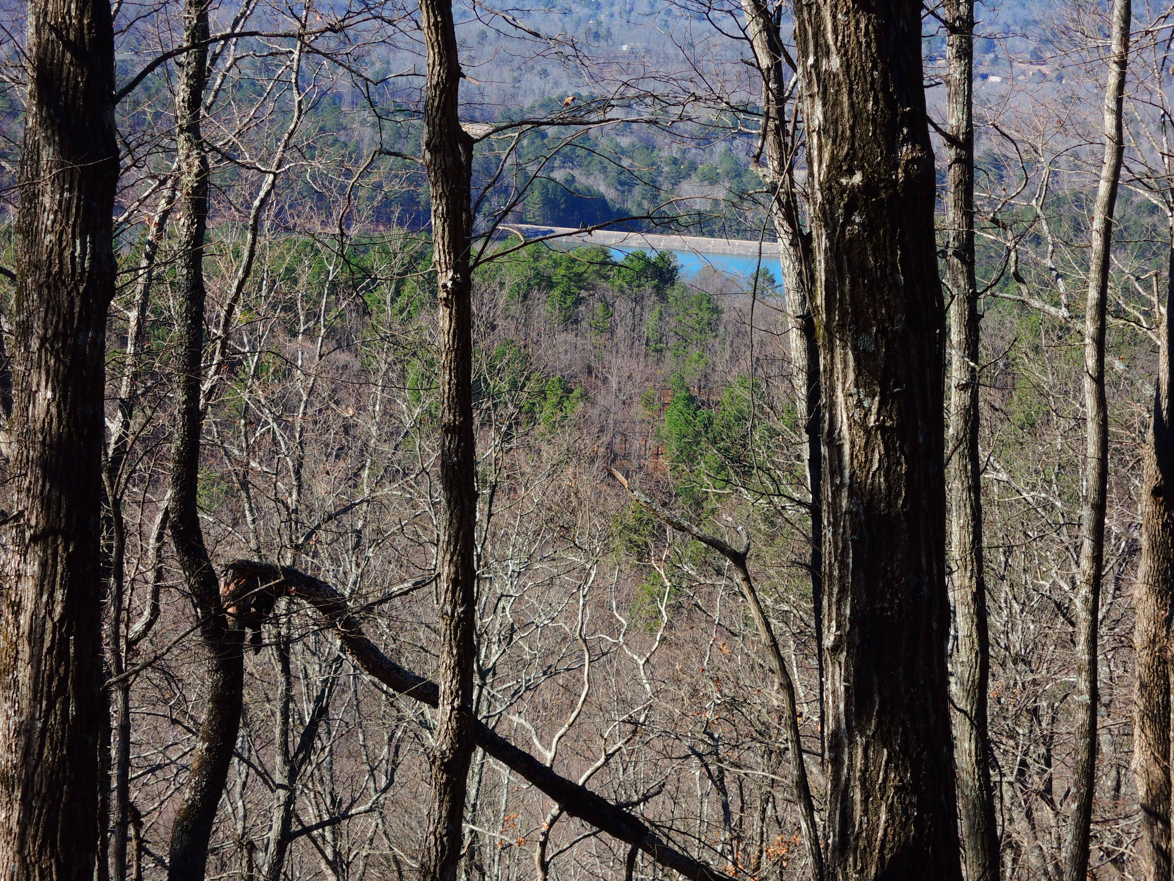 dscn7104r.jpg