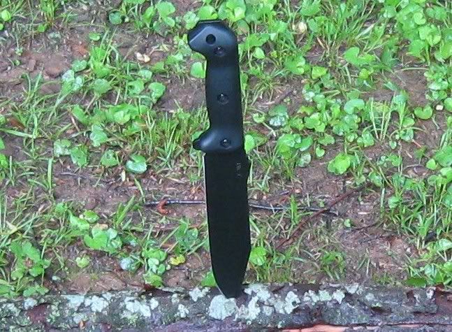 CopyofIMG_2107.jpg