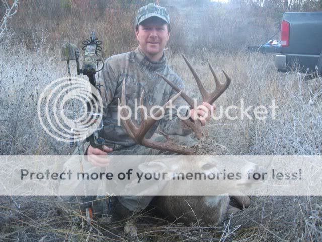 ArcheryDeer007.jpg