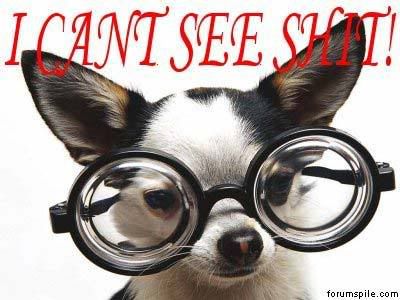 cantseedogwithglassescs1.jpg