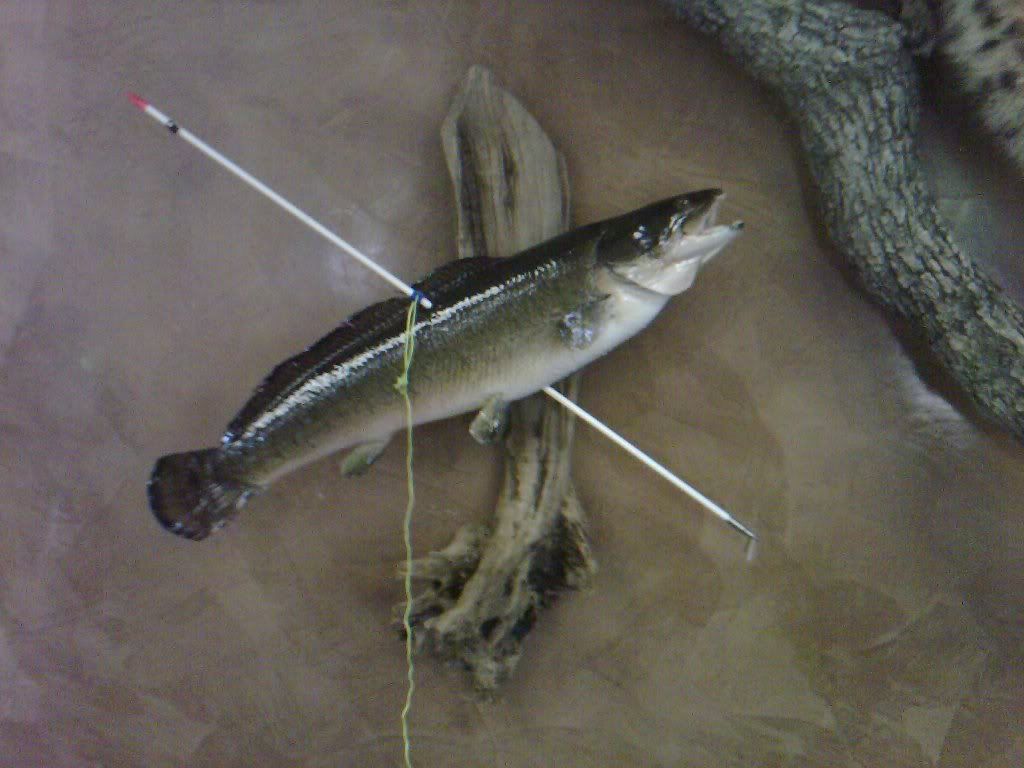 2011-04-16120057.jpg
