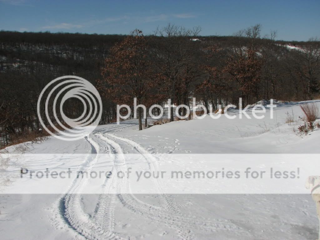 IMG_2275.jpg