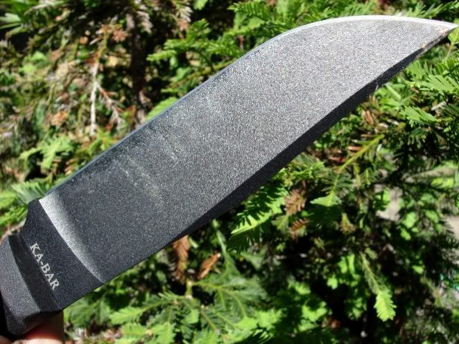 kabarbladecloseup.jpg