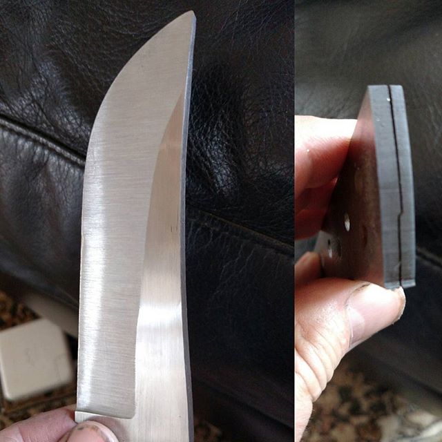 ngUu8B5.jpg