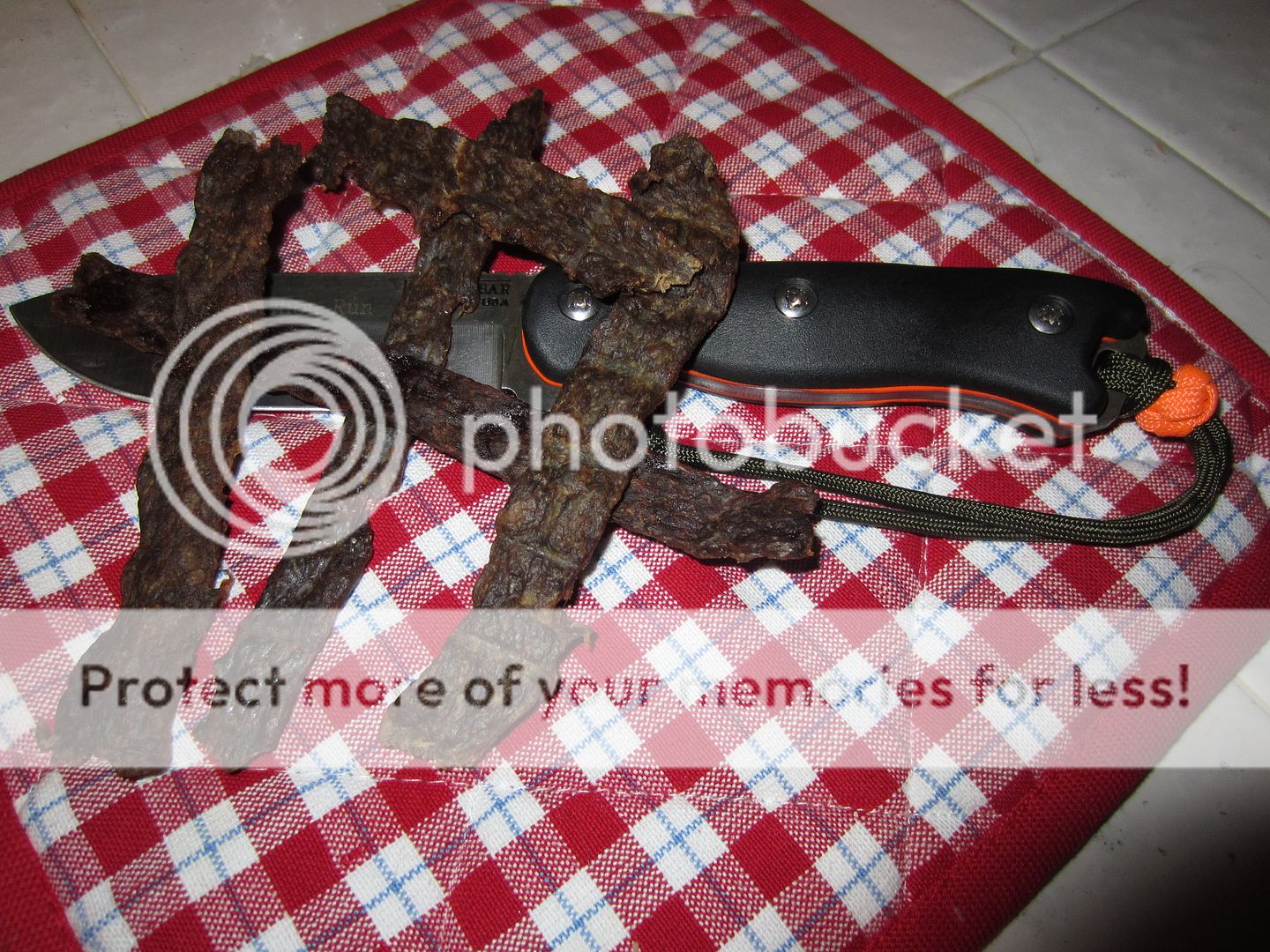 IMG_9866_zps91496ae6.jpg