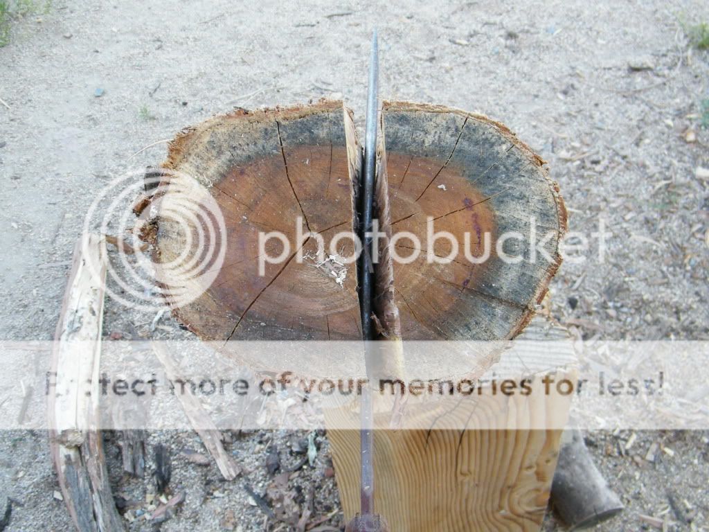 DSCF2837.jpg