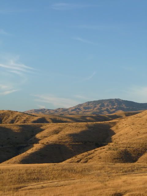 P1010218.jpg