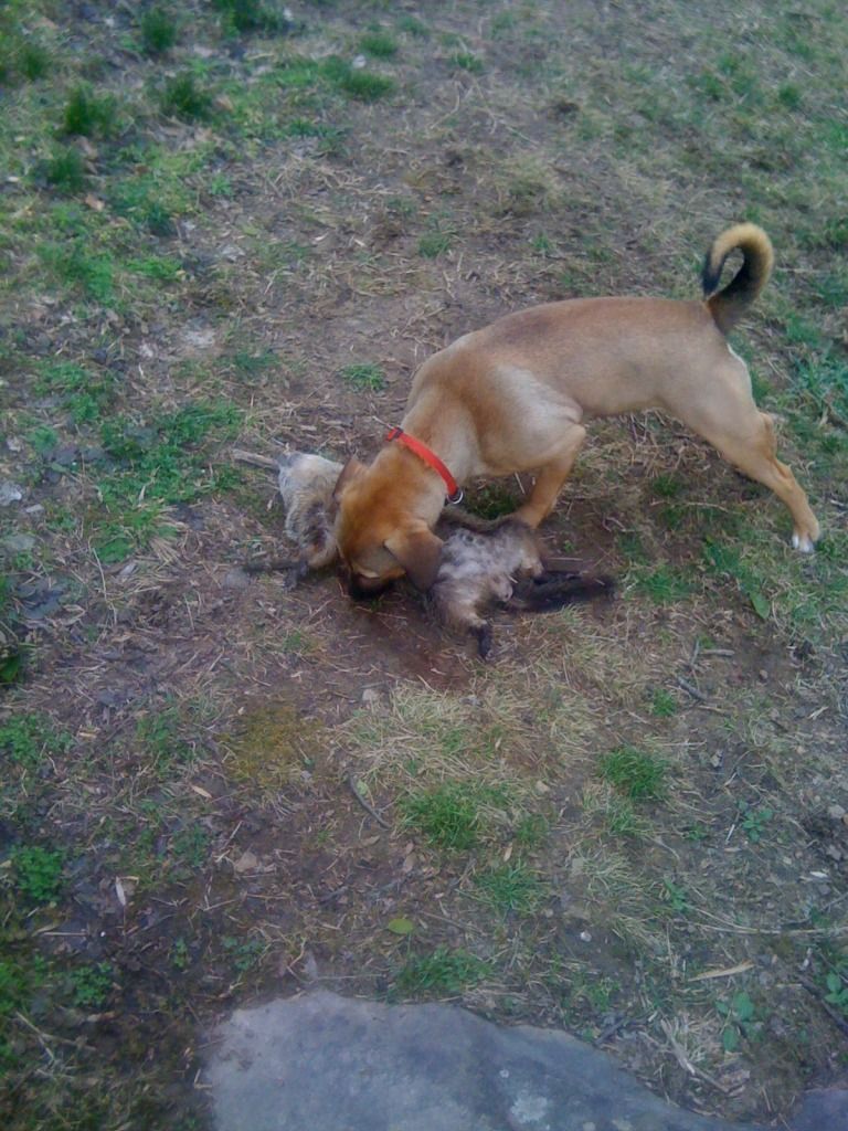 June102012395.jpg