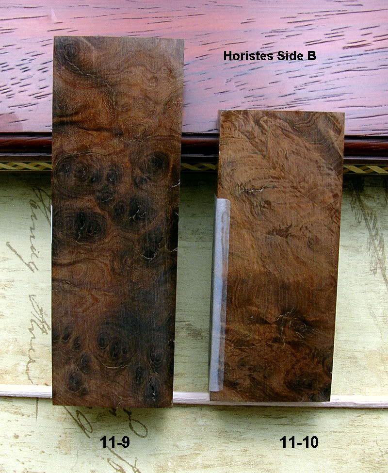 Horistes119thru1110sideB.jpg