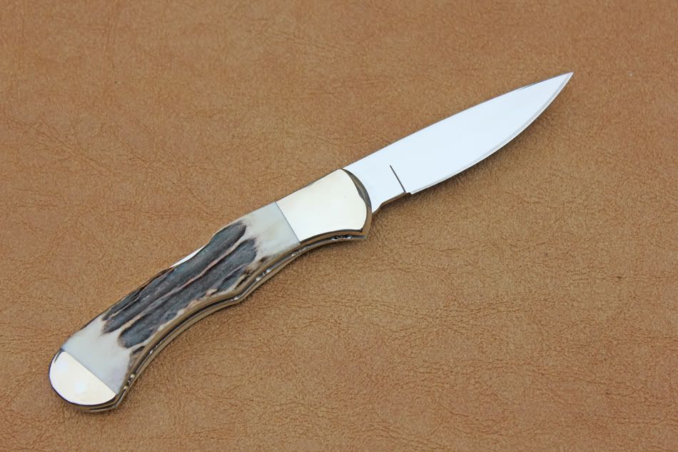 stag532c.jpg