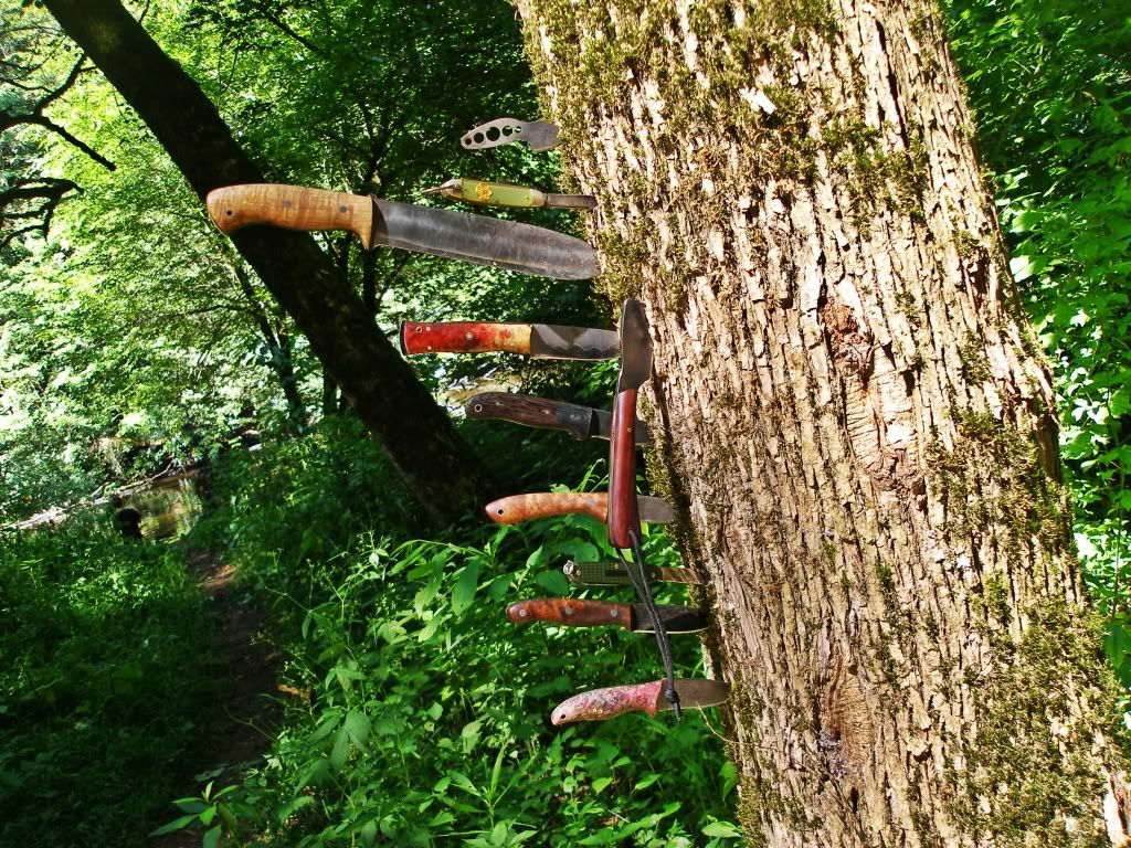 camping2012011.jpg