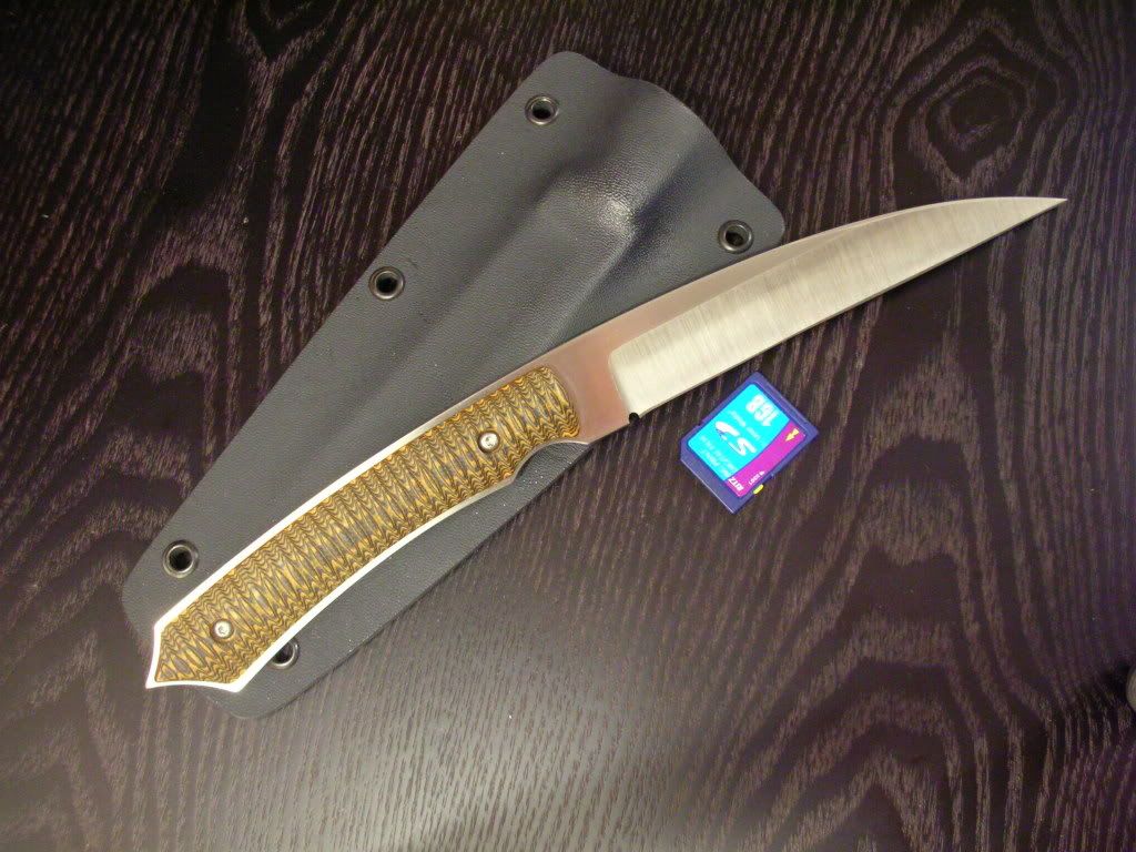 DSCN5619.jpg