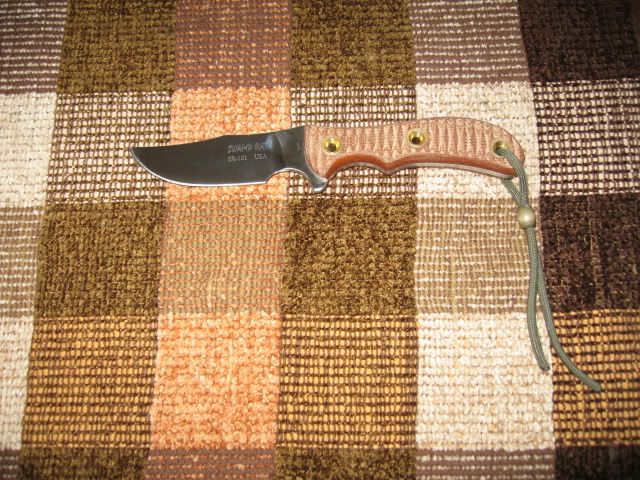 safariskinner001.jpg