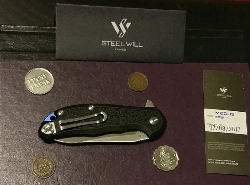 Steel_Will_F25_11a.jpg