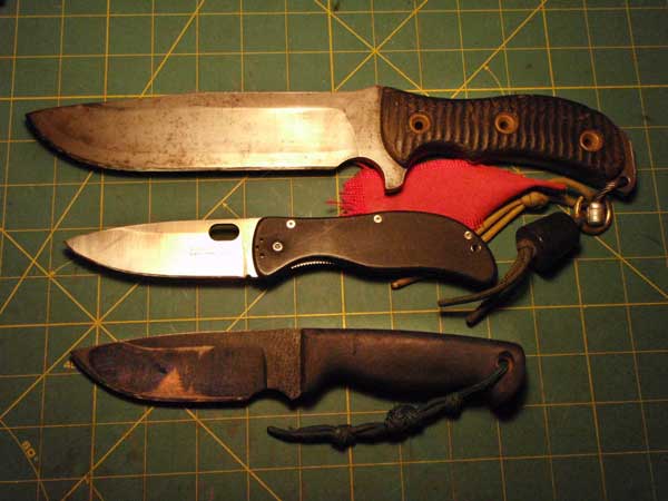 3-Rats.jpg