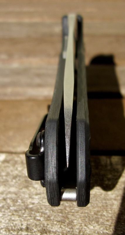 ZT0770_1_zpshagmmaye.jpg