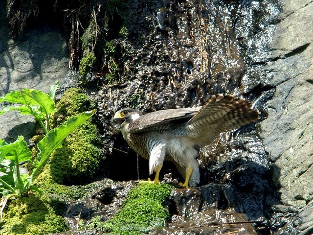 2007.05.18.R0011144.JPG