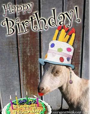 sassy-happy-birthday.jpg