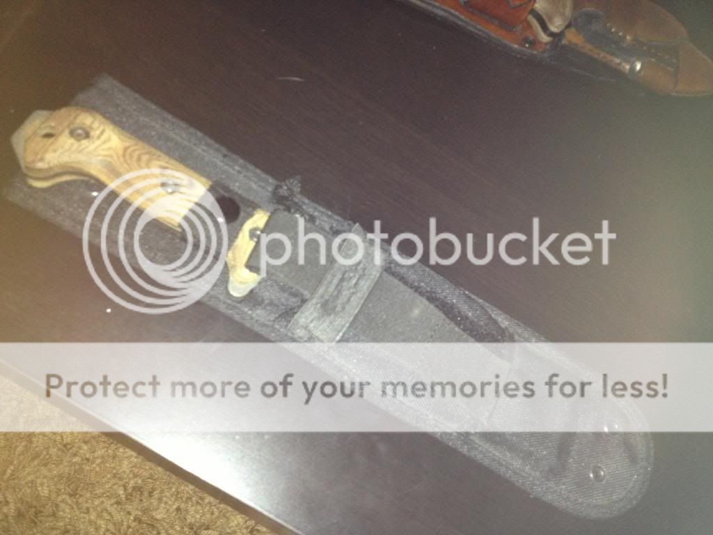 IMG_0409_zpsdcb7ee1b.jpg