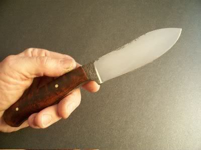 Skinner1.jpg