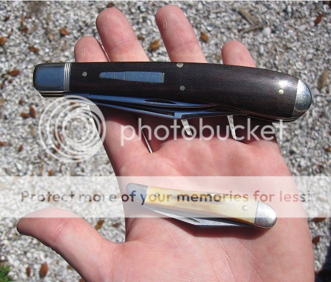 IMG_2768_zps406876bb.jpg~original