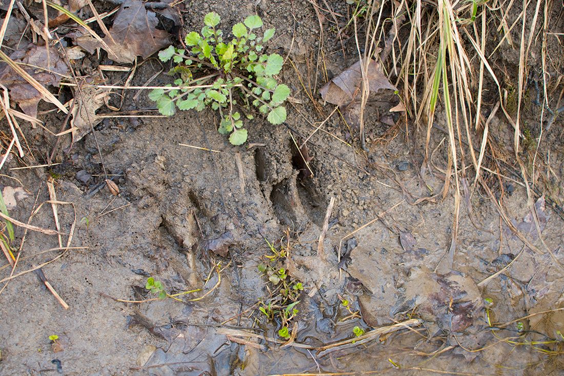 DSC_0121wa_zpsvkp7tcow.jpg