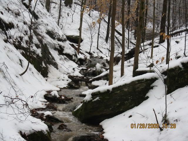 snowdayforthepets055.jpg