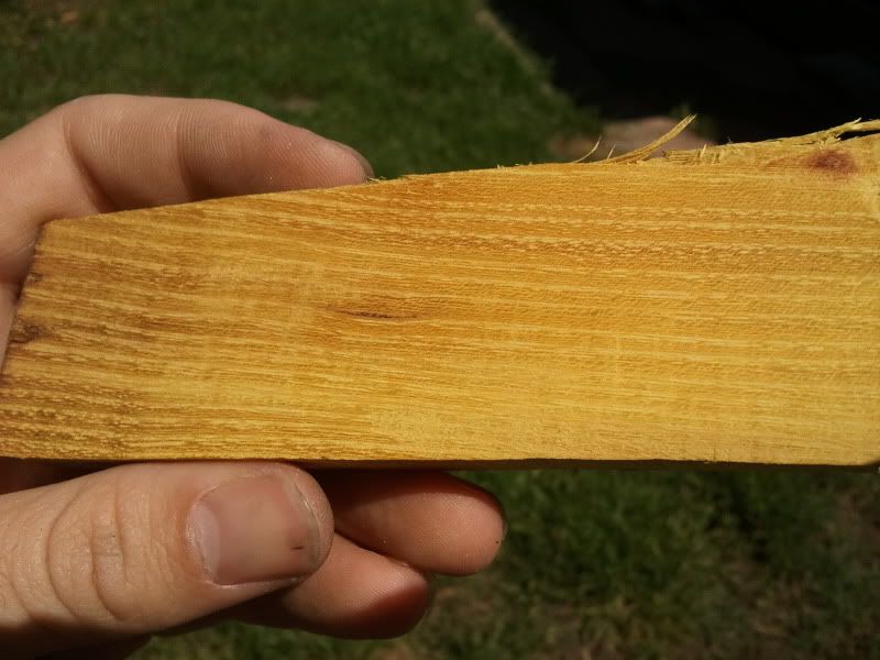 2012-04-27110635.jpg