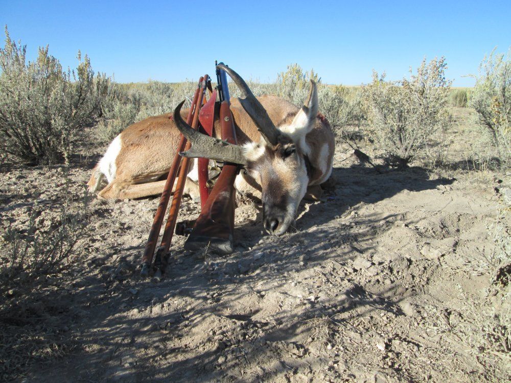 Antelope%2004_zpscxfdvele.jpg