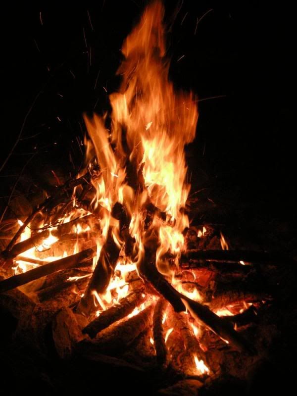 DSCN1550.jpg