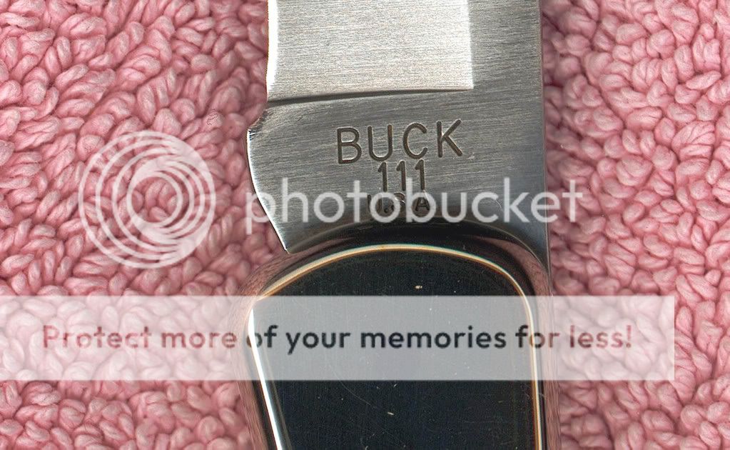 Buck111NSAusschn.jpg