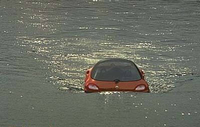 renault_racoon_005.jpg